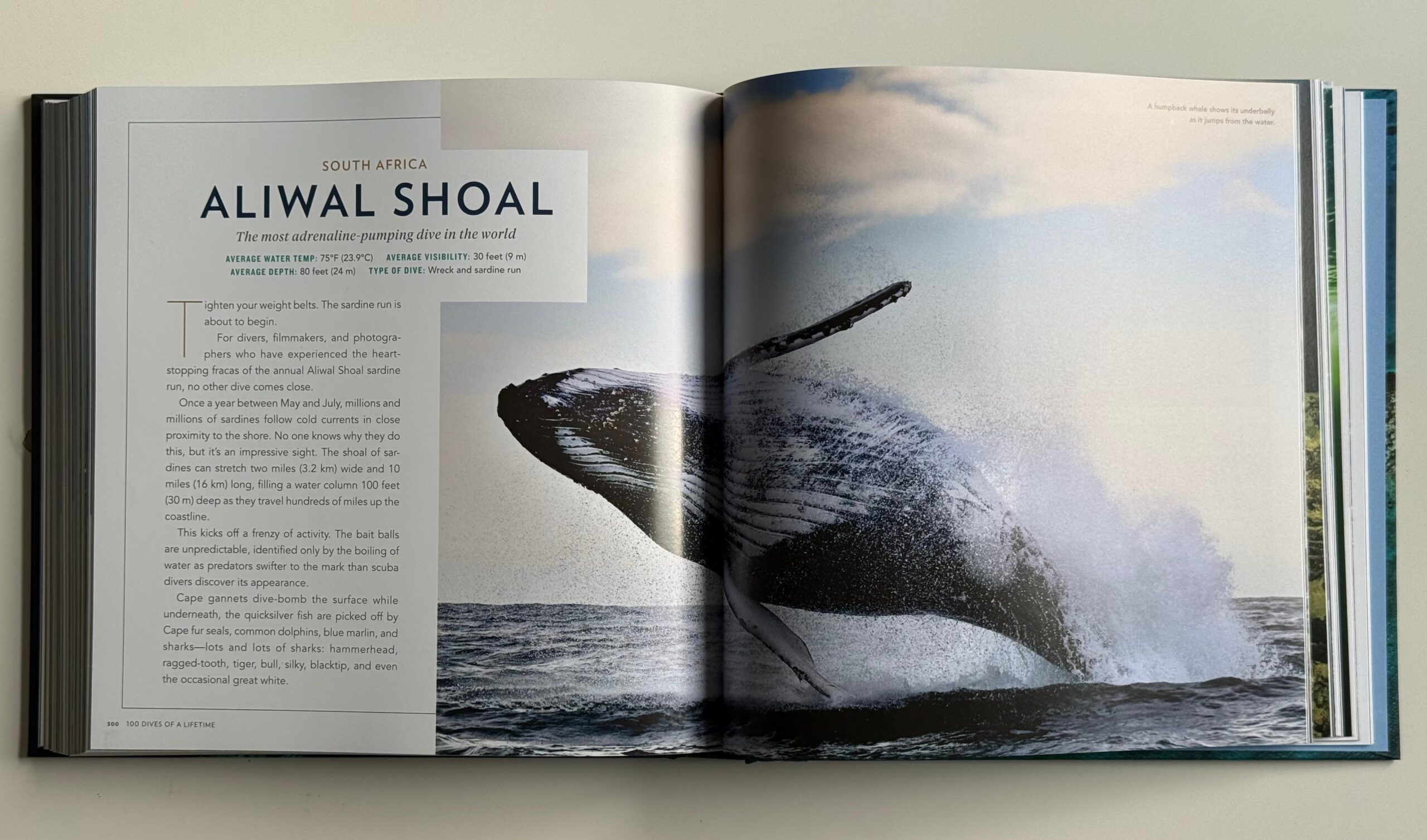 100 Dives of a Lifetime de National Geographic
