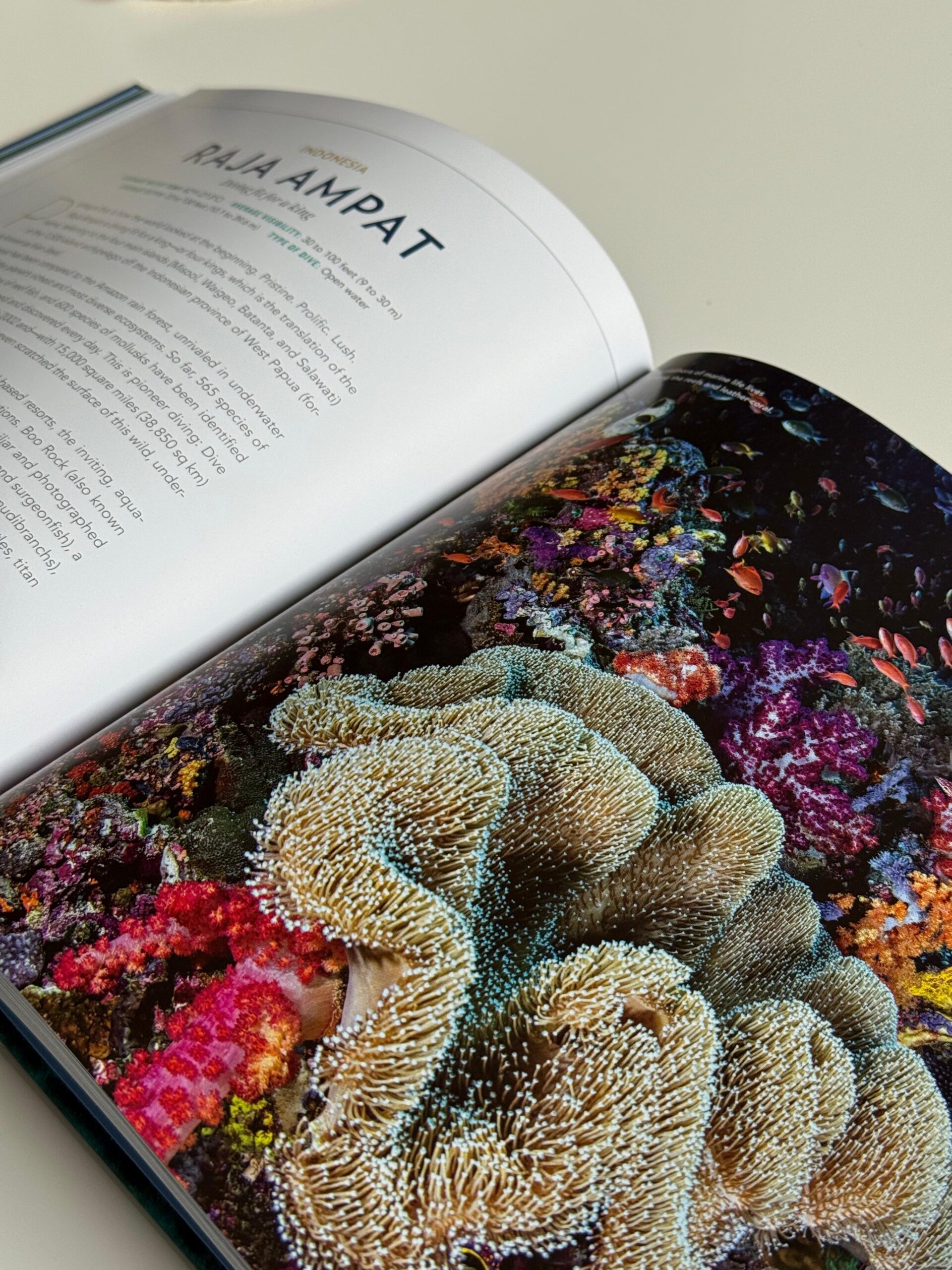 100 Dives of a Lifetime de National Geographic