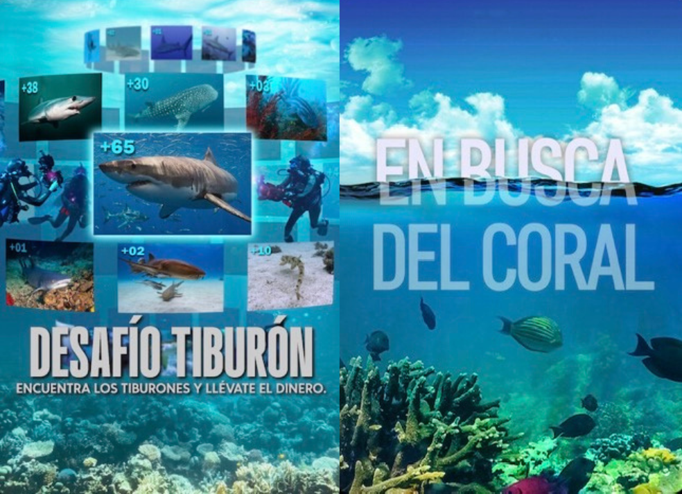 Mar en pantalla: Dos títulos de Netflix para amantes del océano.