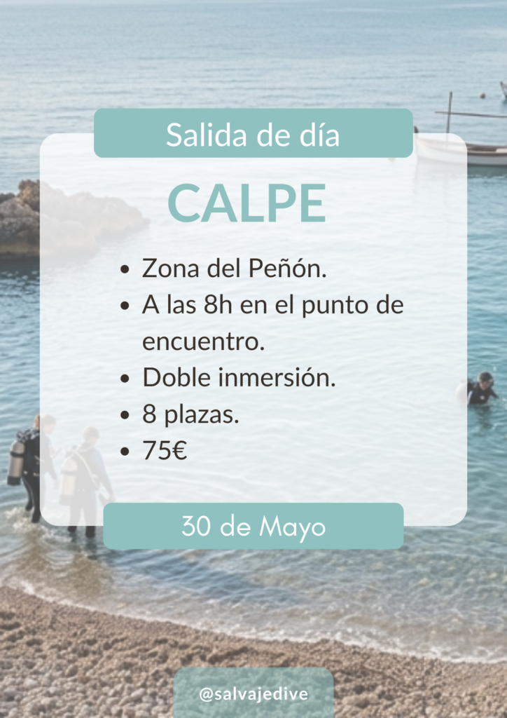 Inmersiones Buceo Salvaje Dive