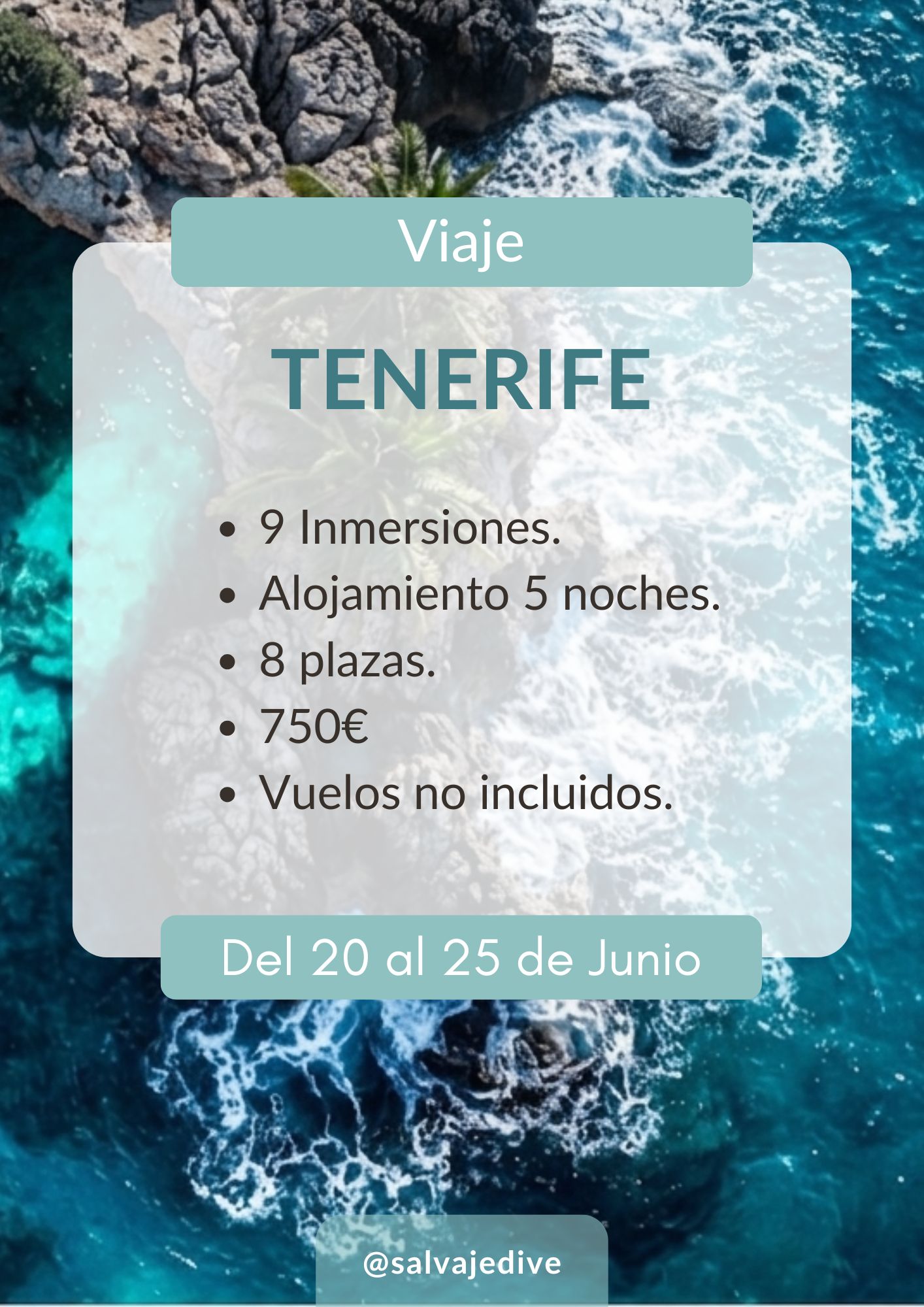 Inmersiones Buceo Salvaje Dive