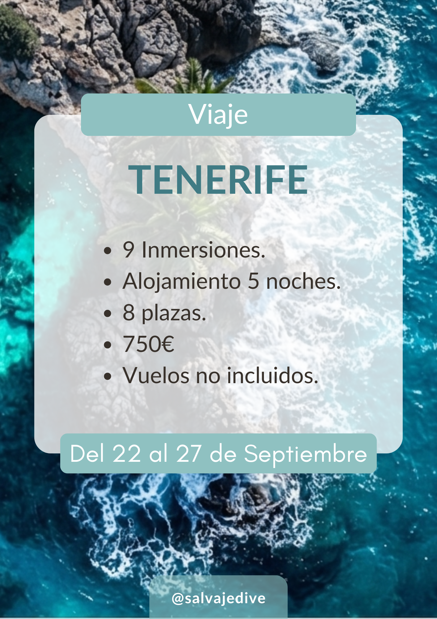 Inmersiones Buceo Salvaje Dive