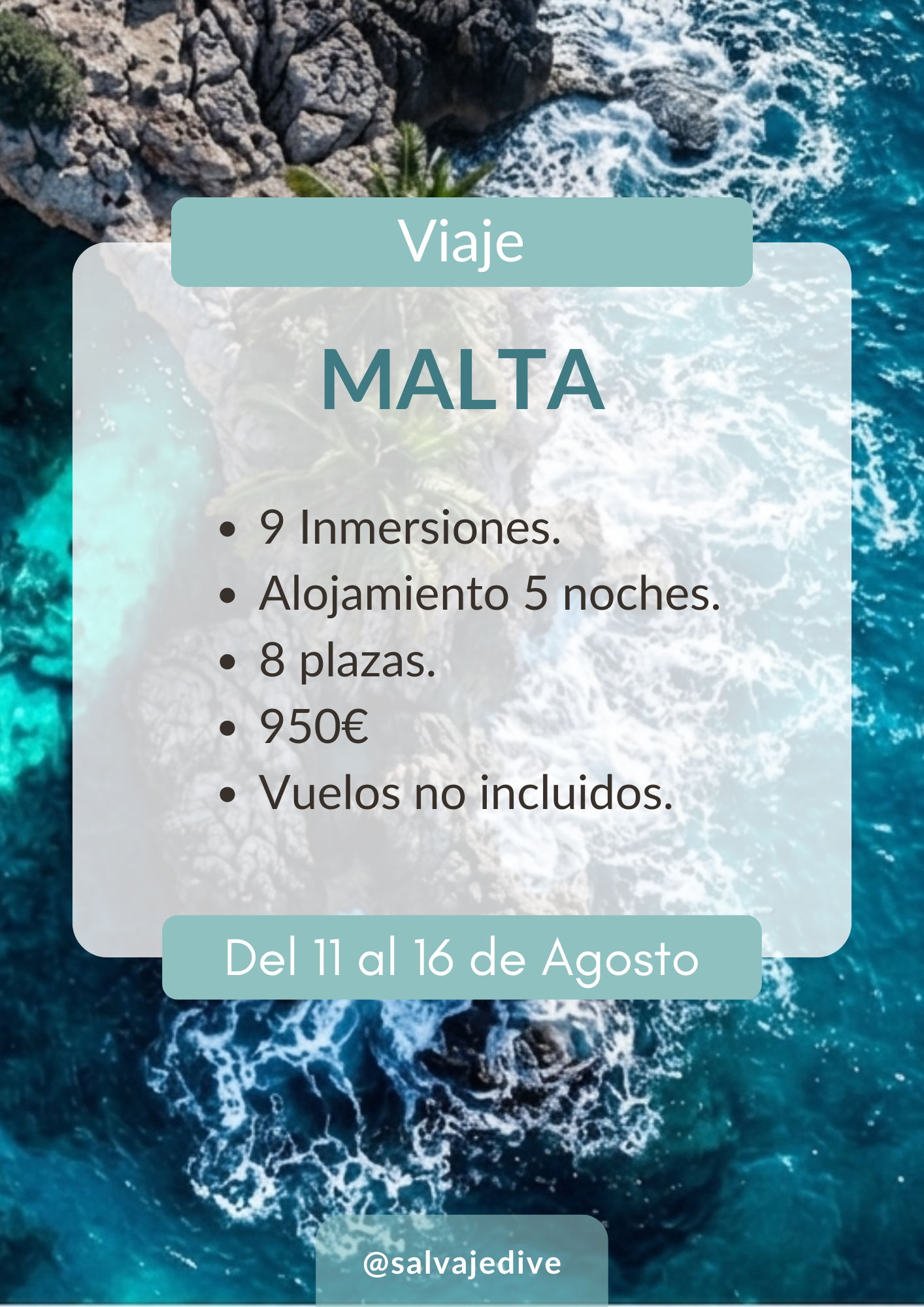 Inmersiones Buceo Salvaje Dive