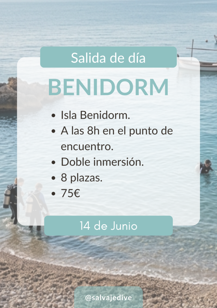 Inmersiones Buceo Salvaje Dive