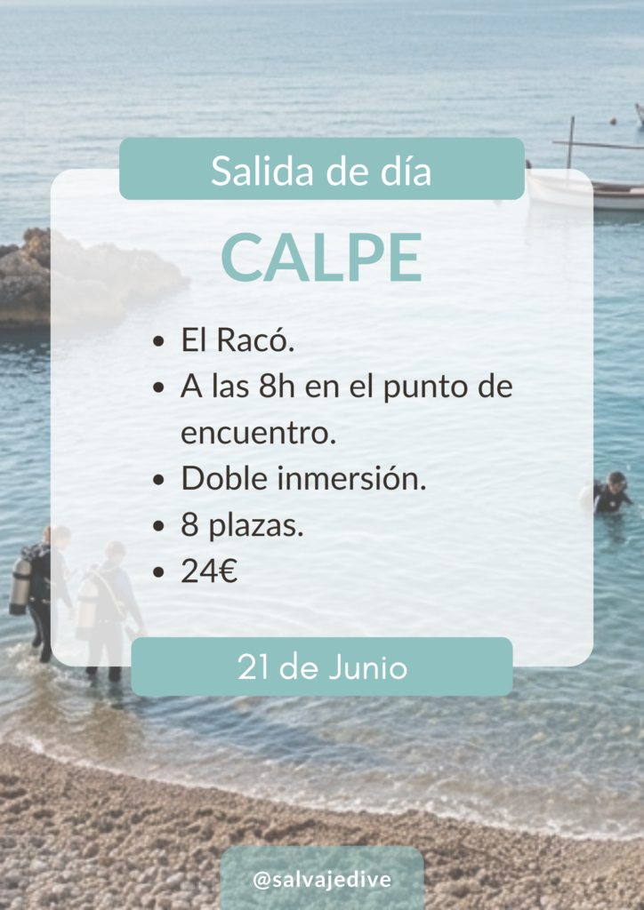 Inmersiones Buceo Salvaje Dive