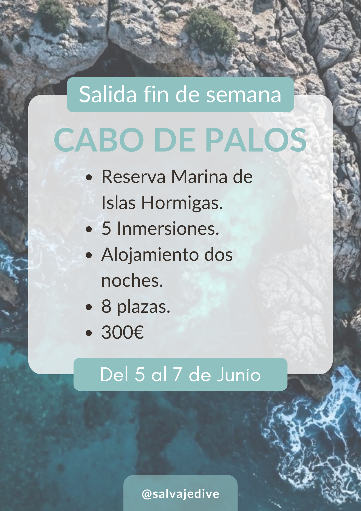 Inmersiones Buceo Salvaje Dive