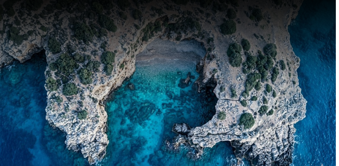 Salvaje Dive - Club de buceo.