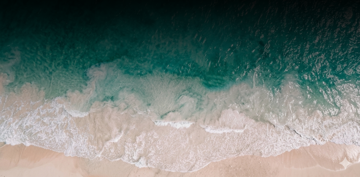 Salvaje Dive - Club de buceo.