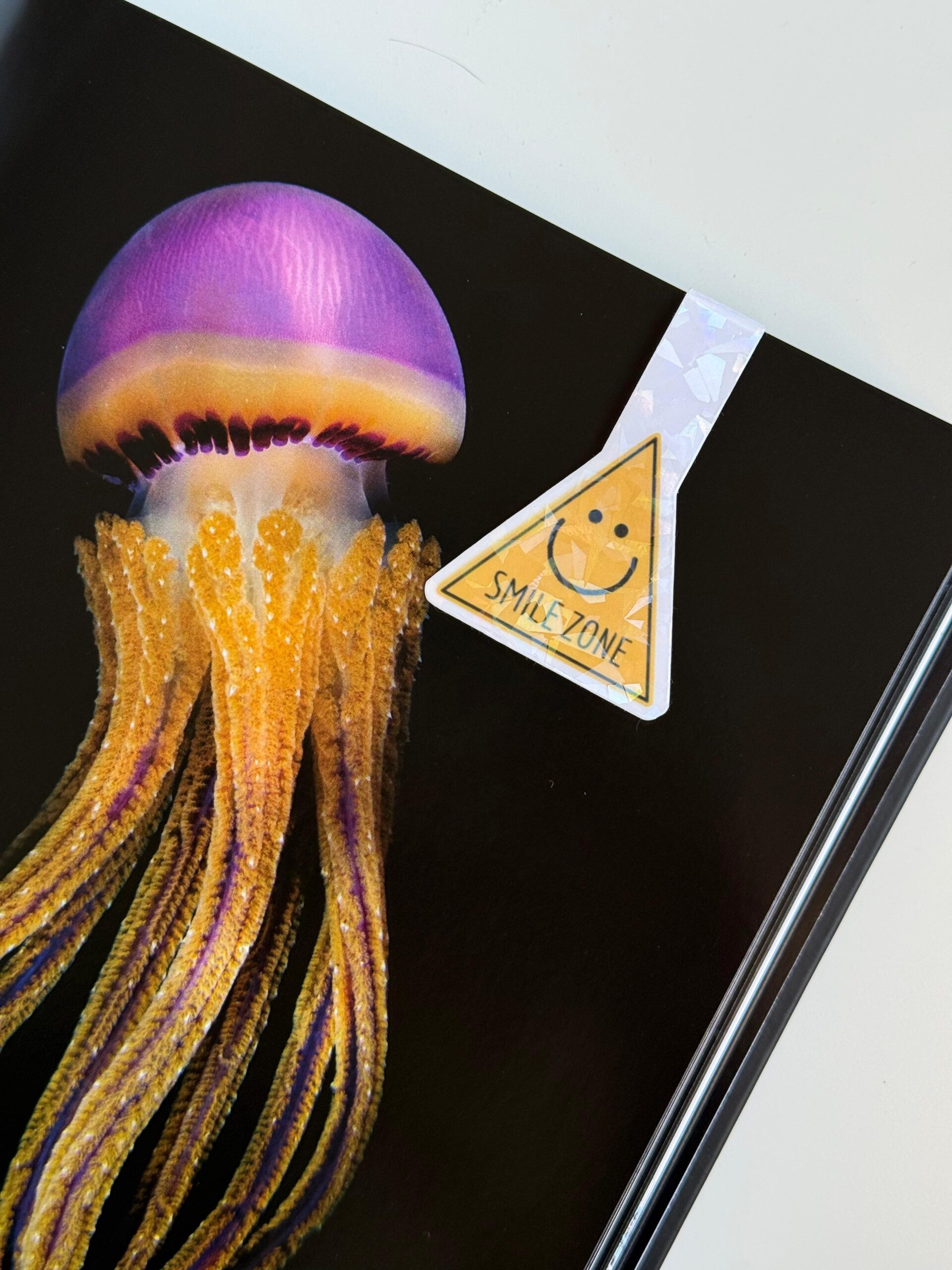 Marcapáginas imantado